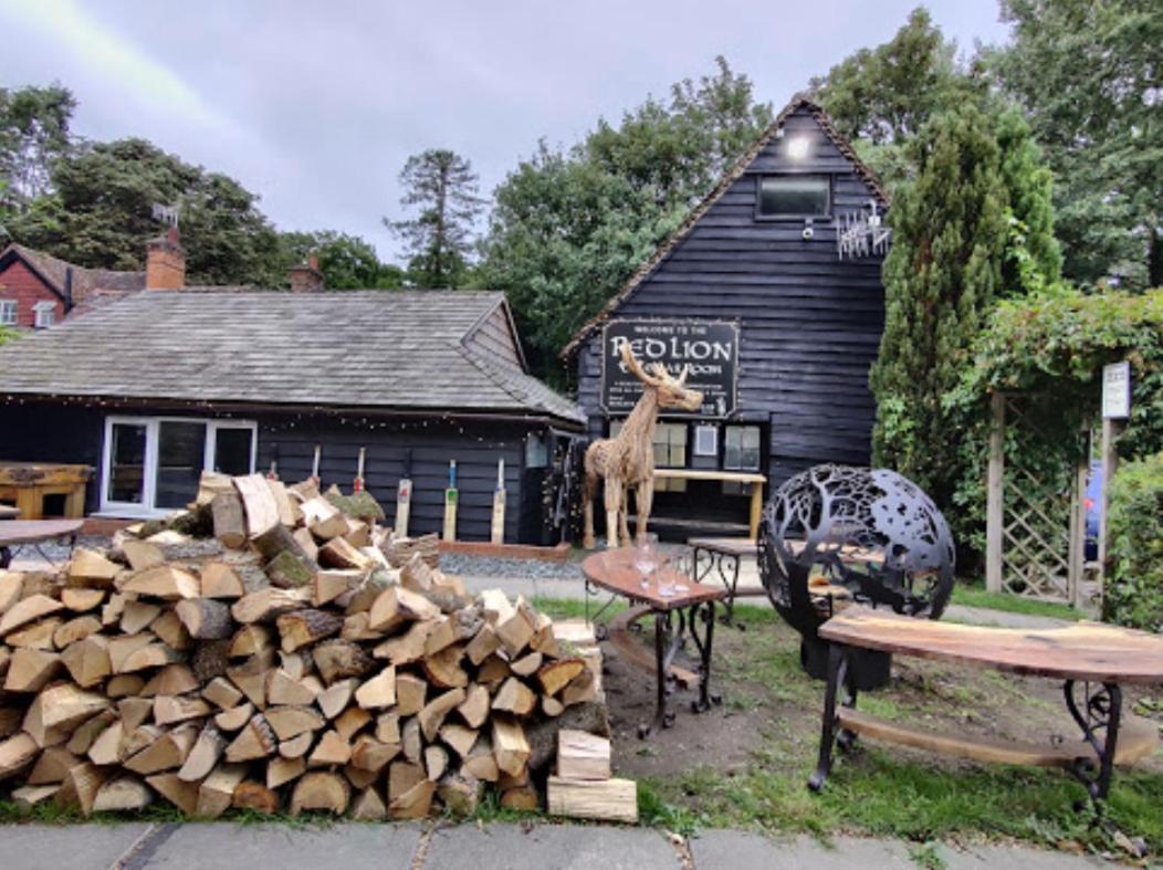 The Red Lion & Cellar Room, Betchworth Zewnętrze zdjęcie