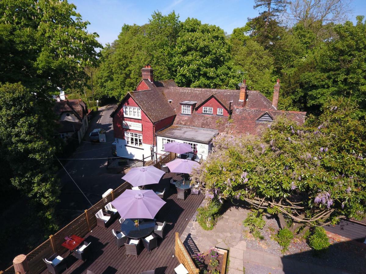 The Red Lion & Cellar Room, Betchworth Zewnętrze zdjęcie